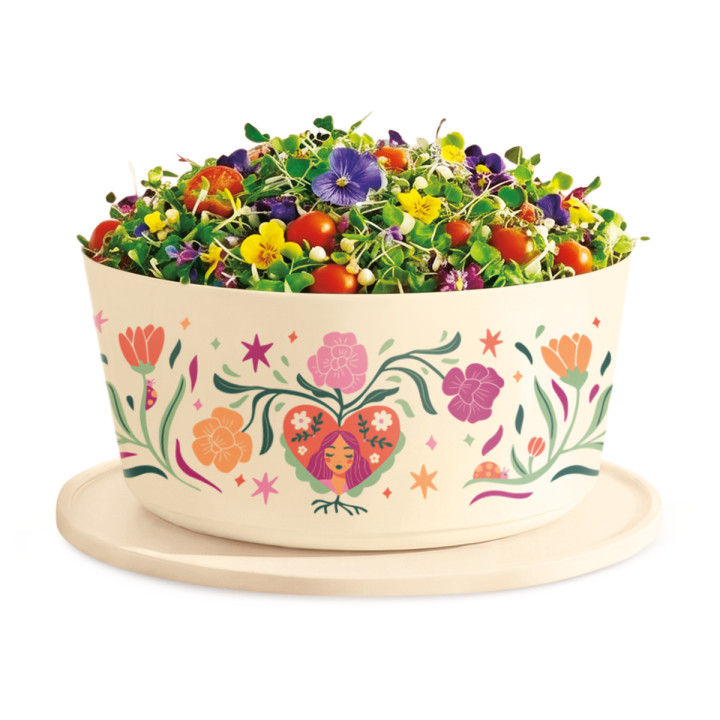 Tazones Ilúmina Decorados: 80 años cultivando sueños