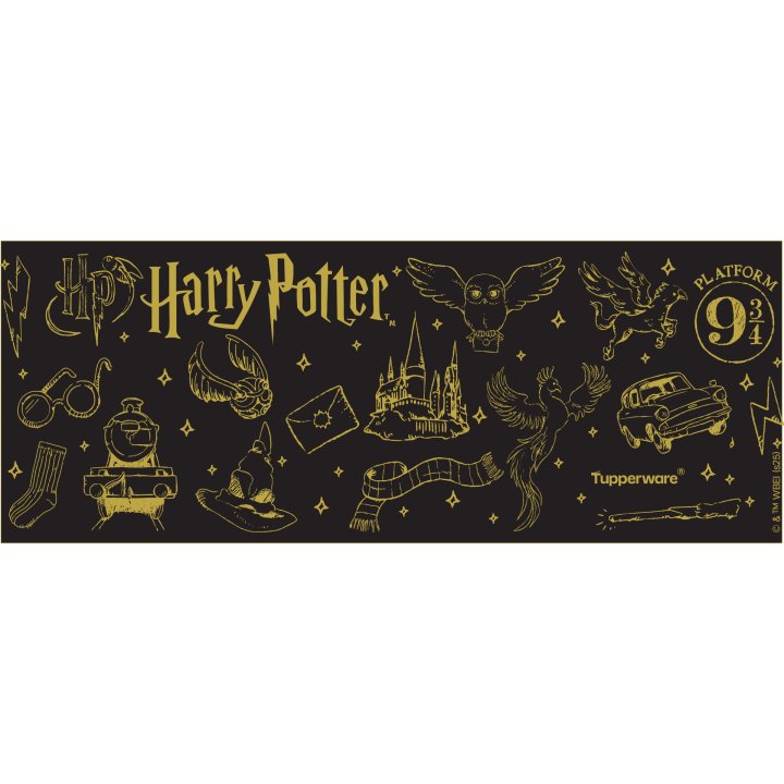 Botes Toques Magico Decorados: WBEI Harry Potter