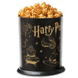 Botes Toques Magico Decorados: WBEI Harry Potter