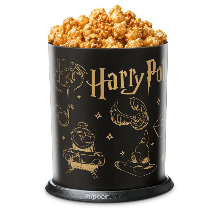 Botes Toques Magico Decorados: WBEI Harry Potter