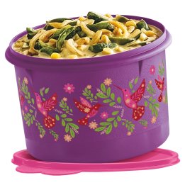 Botes para Refri Decorados: Colibrí Mexicano
